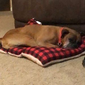 Meet your Posher, Isaac